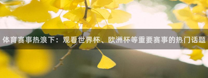 赏金国际最新合作平台：体育赛事热浪下：观看世界杯、欧洲杯等重要赛事的热门话题