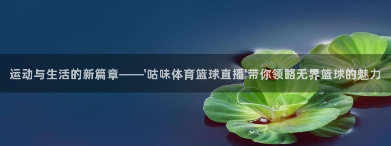 赏金国际大舞台：运动与生活的新篇章——\'咕味体育篮球直播\'带你领略无界篮球的魅力