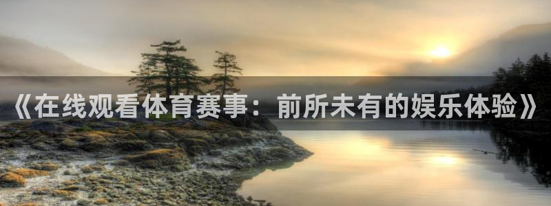 赏金国际是什么：《在线观看体育赛事：前所未有的娱乐体验》