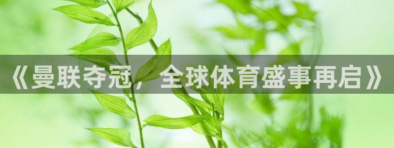 国际悬赏排行榜：《曼联夺冠，全球体育盛事再启》