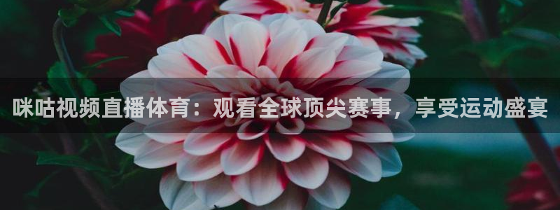 赏金国际是什么：咪咕视频直播体育：观看全球顶尖赛事，享受运动盛宴