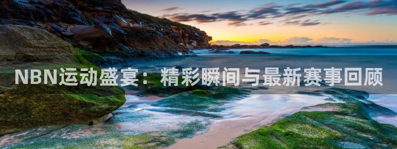 赏金国际com.：NBN运动盛宴：精彩瞬间与最新赛事回顾