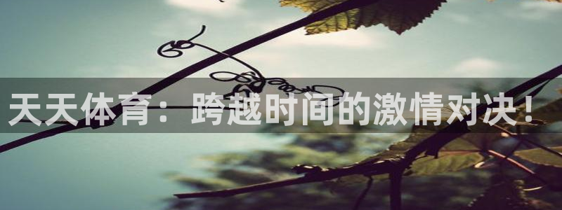 赏金国际pg正版官网入口：天天体育：跨越时间的激情对决！