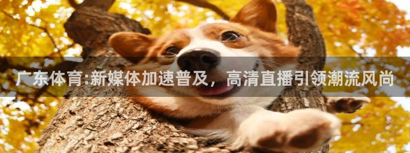 赏金游官方网站入口：广东体育:新媒体加速普及，高清直播引领潮流风尚