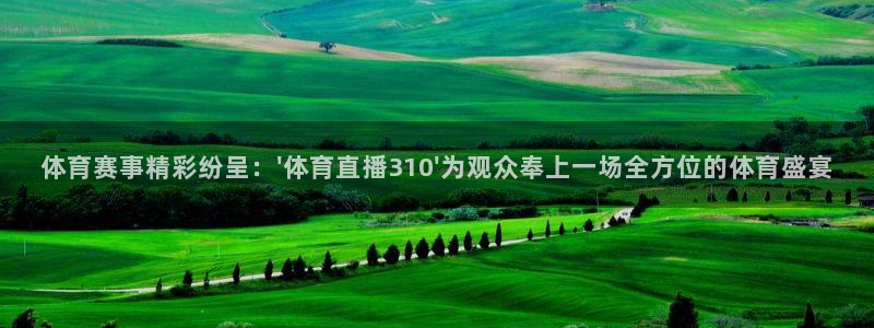 赏金国际网页入口官网下载：体育赛事精彩纷呈：\'体育直播310\'为观众奉上一场全方位的体育盛宴