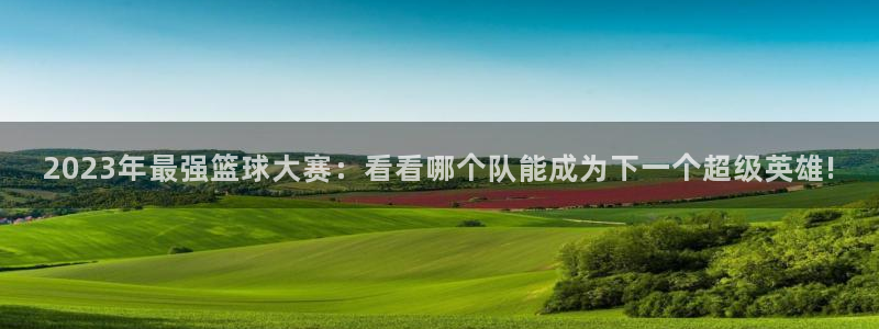 赏金国际下载：2023年最强篮球大赛：看看哪个队能成为下一个超级英雄!