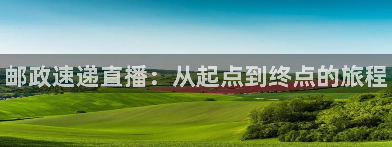 赏金国际服：邮政速递直播：从起点到终点的旅程