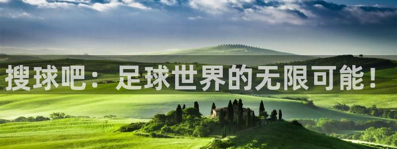赏金国际top1：搜球吧：足球世界的无限可能！