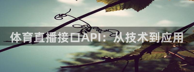赏金国际pg：体育直播接口API：从技术到应用