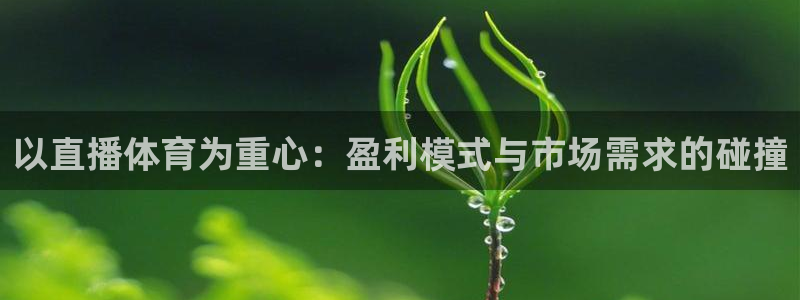 赏金赚app官网下载：以直播体育为重心：盈利模式与市场需求的碰撞