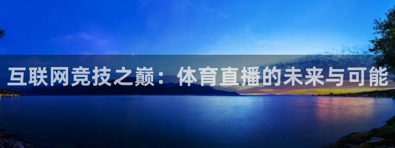 赏金国际大舞台：互联网竞技之巅：体育直播的未来与可能